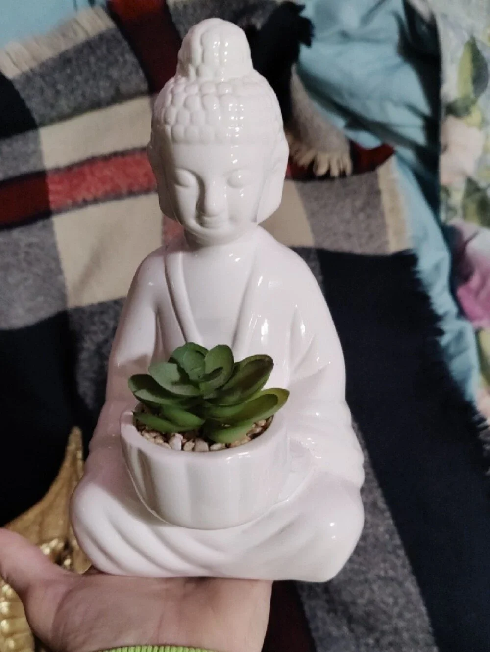 Meditating Buddha Home Accent - Gold and White